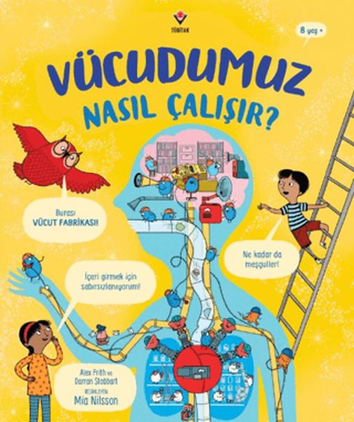 Vücudumuz Nasıl Çalışır?
