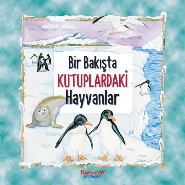 Bir Bakışta Kutuplardaki Hayvanlar